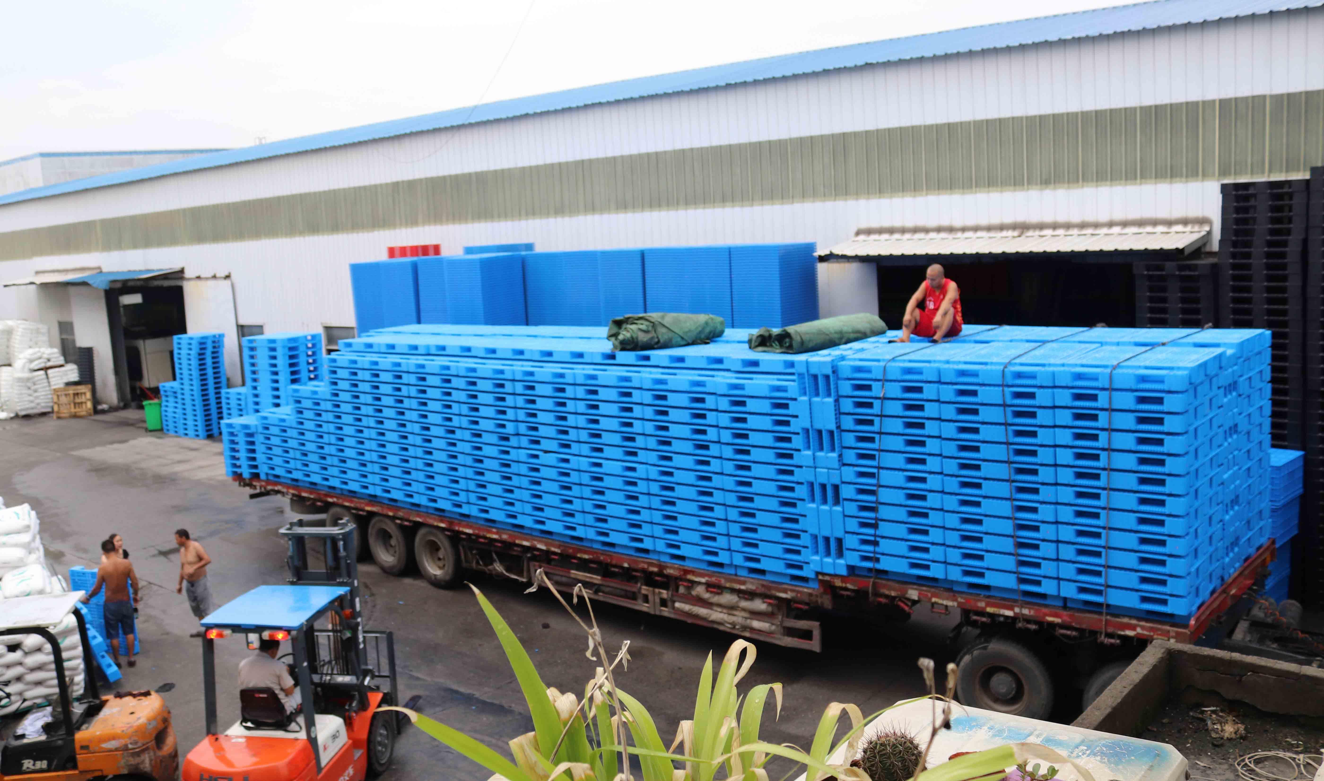 塑料托盤高考卷，你能滿分算我輸！